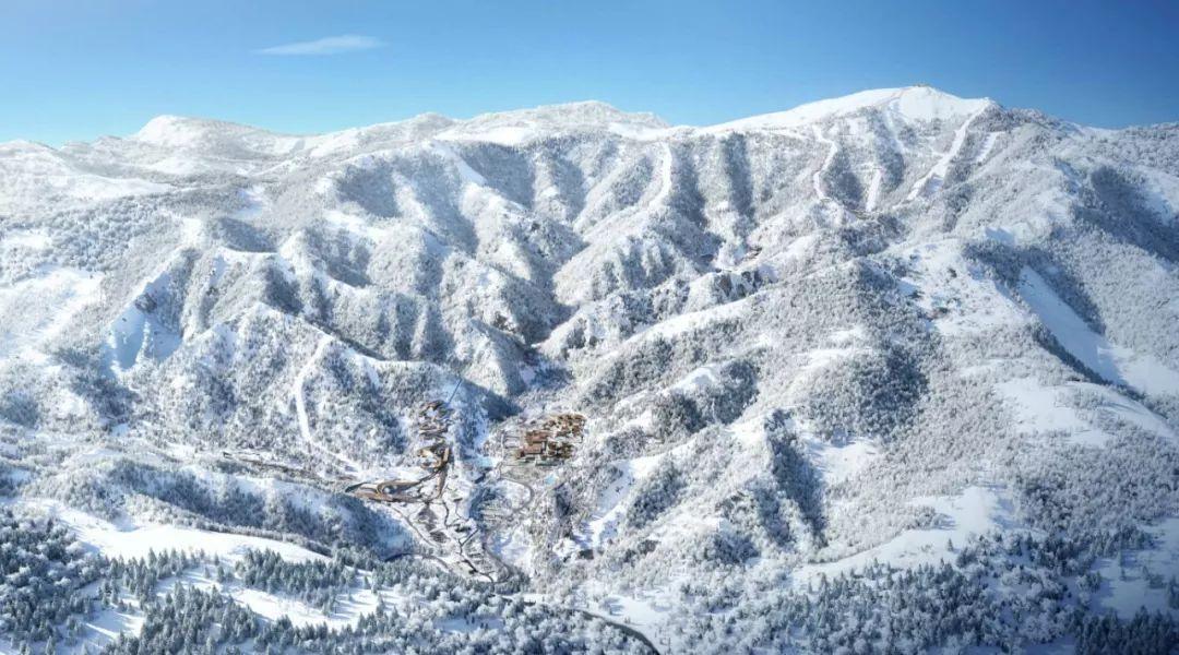 “村企共建”铺就乡村振兴路
